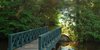 Bridge over Upper Pond