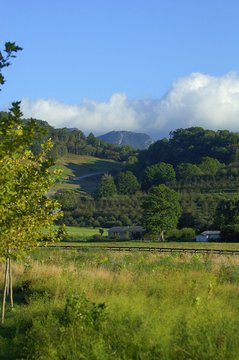 Grandfather Mountain View from Creekside
